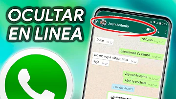 ¿Como no aparecer en línea para un solo contacto?