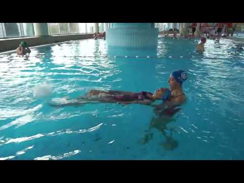 Video: Plivanje s lamantima na Floridi