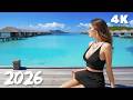 Island Paradise Drift 🏝️ Chill Deep House Tropical Summer Meditation Flow 4K UHD 2026 | Lunar Groove
