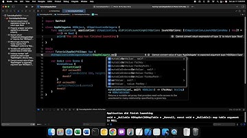 SwiftUI - 93 - Using an AppDelegate in a SwiftUI Application