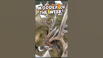 EXPOSED!!! MODDER OF THE WEEK!!! The Hunter: Call of the Wild #thehunterCOTW