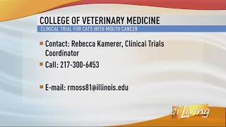 UI Clinical Study for Cats with Lung Cancer