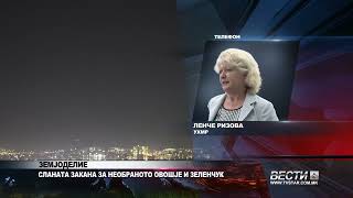 ЗЕМЈОДЕЛИЕ   СЛАНАТА ЗАКАНА ЗА НЕОБРАНОТО ОВОШЈЕ И ЗЕЛЕНЧУК 04 10 2025