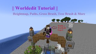 World Edit Tutorial || Heightmap, Paths, Grass Brush, Tree Brush & More