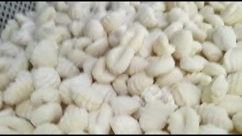 Gnocchi Machine mod. GN 4