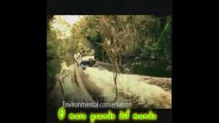 Proyecto Icpna Basic 06