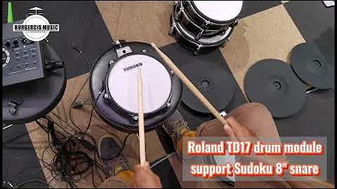 Roland TD17 module support Sudoku 8" electronic snare