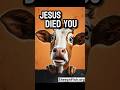 Died cow meme #shortsfeed #anxietyrelief #hope #dailymotivation #depression