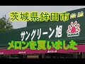 茨城県鉾田市のサングリーン旭に行ってメロンを買ってメロンのソフトクリームを食べました