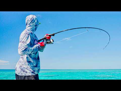 Non Stop Fish All Day! RAW FULL FIGHTS CRAZY FISH DIVERSITY