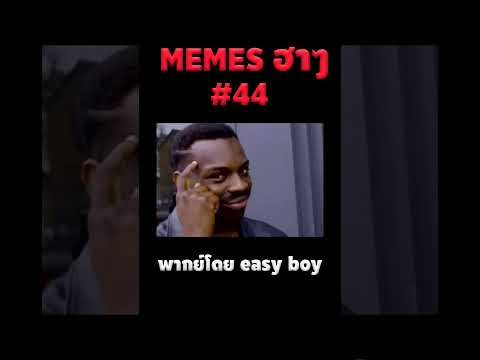 แมวสีดำเมื่อแก่แล้วจะเป็นสีขาวหรือไม่ #short #memeไทย #memes #meme #พากย์นรก #พากย์ไทย