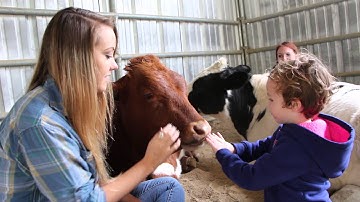 Make the Connection [A Documentary by Michelle Lough]