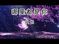 队长-《哪里都是你》【把你藏在心头 每天每夜想你 害怕你的眼泪 没人为你抹去】 动态歌词  抖音热歌