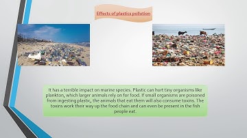 Application of statistics in environment: PLASTIC POLLUTION