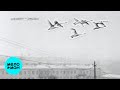румянцев?! - лебединая (Single 2025)