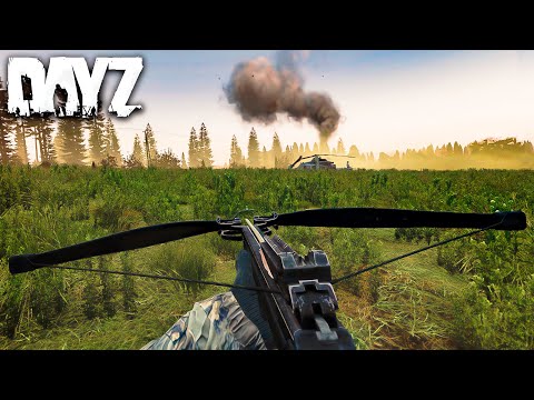 Видео: Вайп! Цель - Арбалет 🤠 Выживаем в Dayz