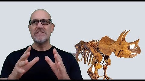 Dinosaur Soft Tissues Part 2: Can AGEs and ALEs preserve flesh for two hundred million years?