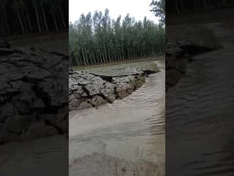 Land uplift in Haryana India हरियाणा में ज़मीन जमीन धरती से ऊपर उठ गई ऐसा आपने नहीं देखा होगा