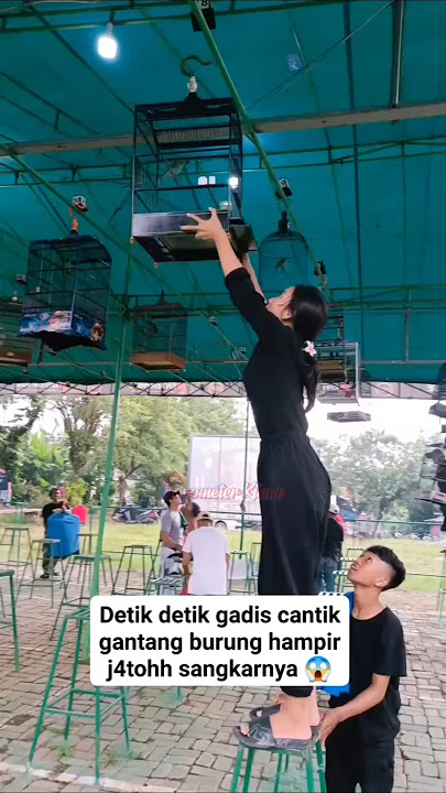 Detik Detik Gadis Cantik Gantangan Burung Hampir Jatoh