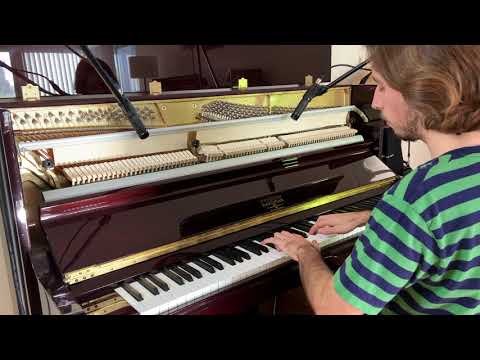 Katydid (Piano Version) | Twilight Session