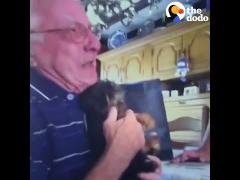 Lonely Grandpa Surprised With A Puppy and Loses It | The Dodo - Lonely Grandpa Surprised With A Puppy and Loses It | The Dodo