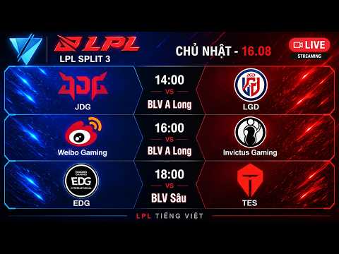 LPL TIẾNG VIỆT: JDG vs LGD | WBG vs IG | EDG vs TES | BLV A Long - BLV Sâu | LPL Split 3
