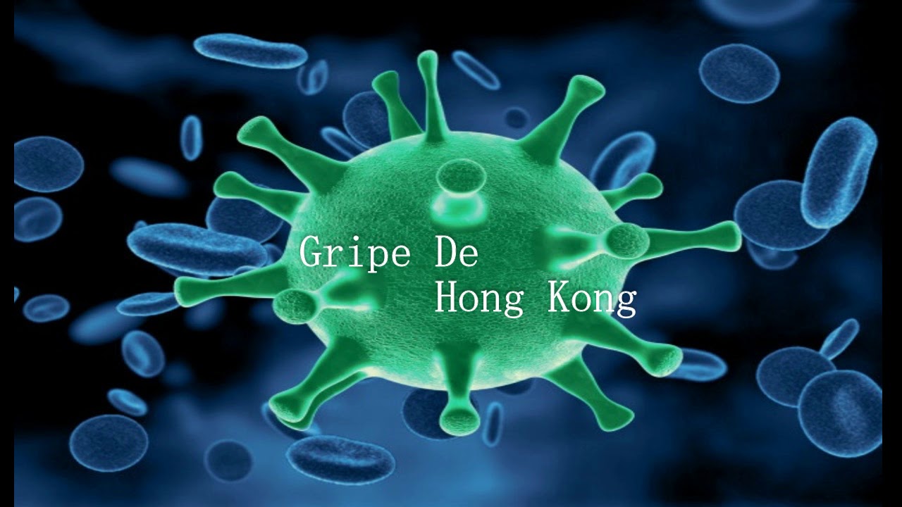 Virus Del Mundo YouTube