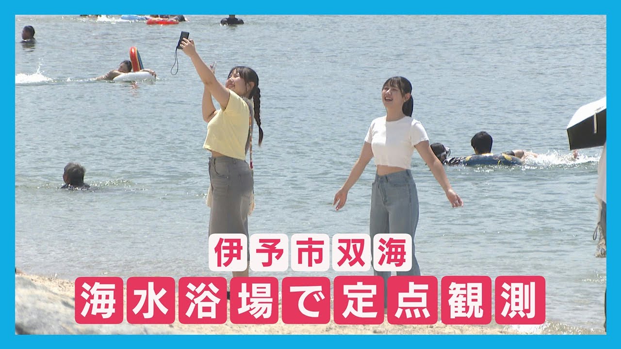 【ニュース特集】伊予市双海の海水浴場で定点観測