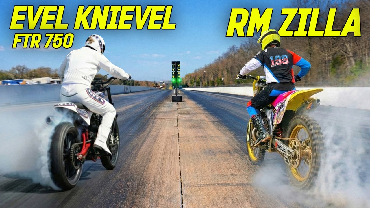 Can anything beat my RM Zilla?