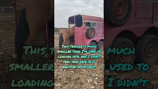 Trailer Training Popper