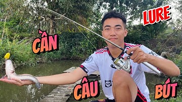 Lu Rê Cá Lóc Bằng Cần Câu Máy Bút