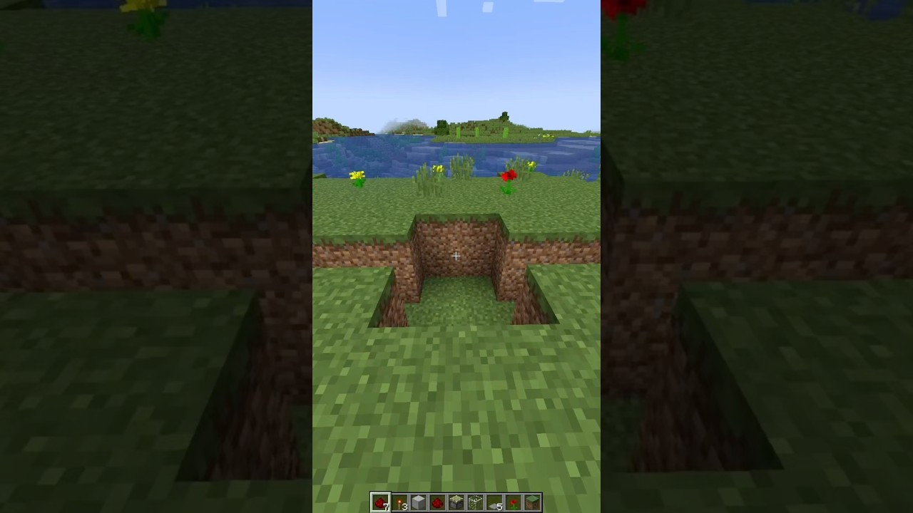 Minecraft Big Brain Door 💀 