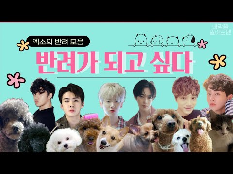 [EXO] 나 그대의 반려가 되고 싶개