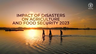 The Impact of Disasters on Agriculture and Food Security 2023