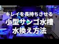 【水換え】小型海水魚サンゴ水槽の水換え手順！失敗しない維持メンテナンスガイド　プロが教える正しい水換え量から簡単な小技までキレイを長持ちさせる方法を完全解説いたします。