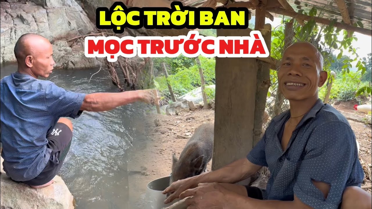 Xuất Hiện Một Thân Cây Mọc Trước Nhà Uốn Quanh Thân Cây Tre, Tới Ngày Sẽ Cho Anh LỘC