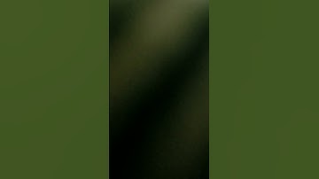 سورة الشرح القارئ محمد الفقية