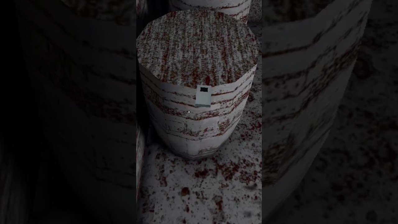 granny house remote control use 