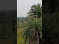 This is #Bankura in West Bengal ......The place that everyone loves to visit ....