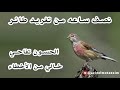 نصف ساعه من تغريد طائر الحسون التفاحي (النينو-الكماتشو-الحرمل) خالي من الأخطاء