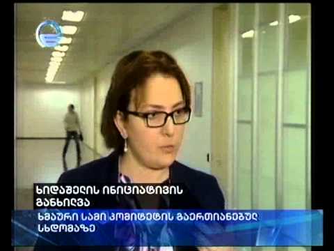 ხიდაშელის ინიციატივის განხილვა