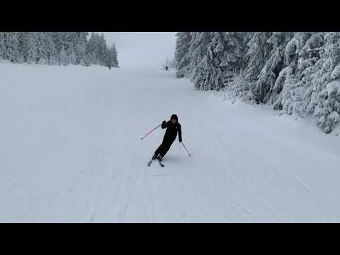 Video: Obiteljsko Skijanje I Snowboard • Stranica 2