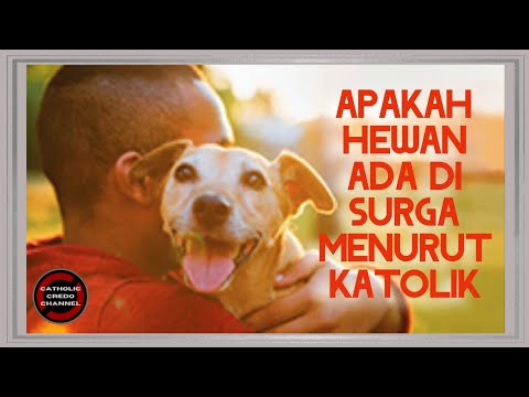 Video: Adakah stuarts beragama Katolik?