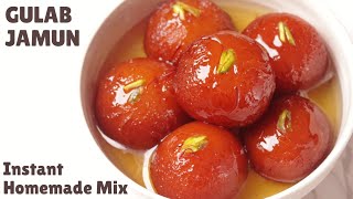 Instant Gulab Jamun With Homemade Premix  DON'T BUY PREMIX ANYMORE | गुलाब जामुन बनायेें आसानी से