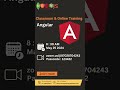 Angular Development Training -25th May 2024| MeanJS Training Institute
