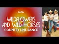 Wildflowers wild horses line dance teach