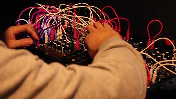 Make Noise BnG Shared System Plus - Sample & Fold