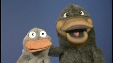 P-P-Platypus with his own P-P-Puppet!!