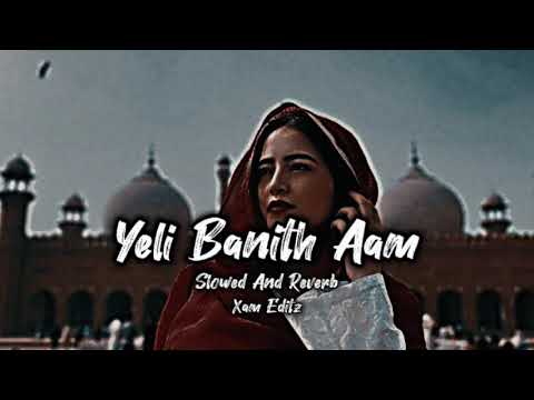 Yeli Banith Aam Zindagani Slowed  Reverb  New Kashmiri Song