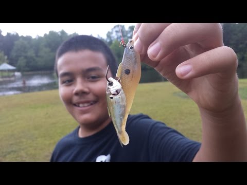 Smallest Fish Ever Caught On A Hook! 